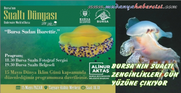 BURSA�NIN SUALTI ZENG�NL�KLER� G�N Y�Z�NE �IKIYOR